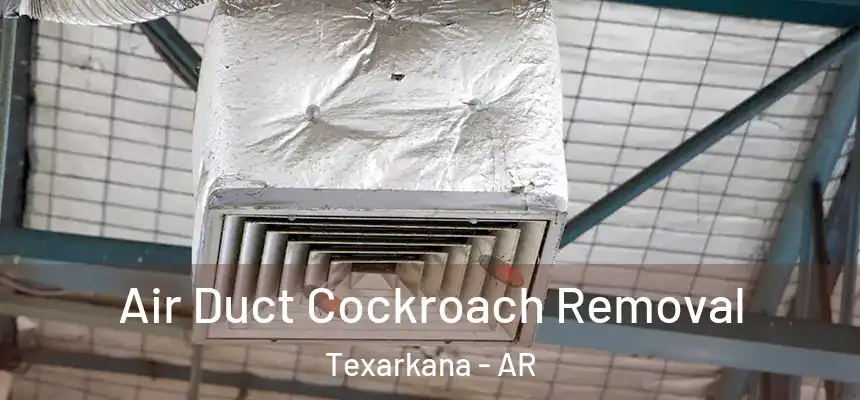 Air Duct Cockroach Removal Texarkana - AR