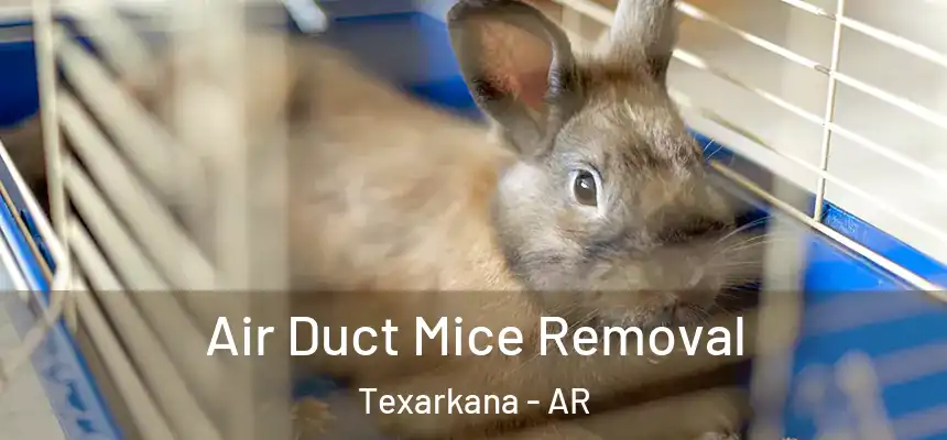  Air Duct Mice Removal Texarkana - AR
