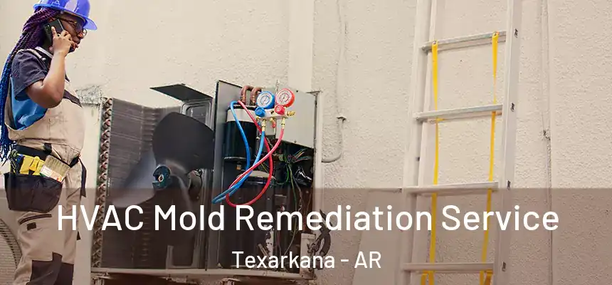 HVAC Mold Remediation Service Texarkana - AR