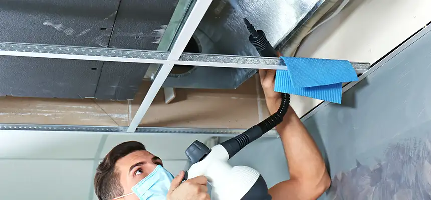 Our Air Duct Rodent Removal Services in Texarkana, AR