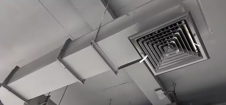 Our Pest Removal From Ducts Services in Texarkana, AR