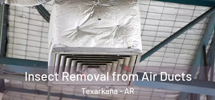  Insect Removal from Air Ducts Texarkana - AR