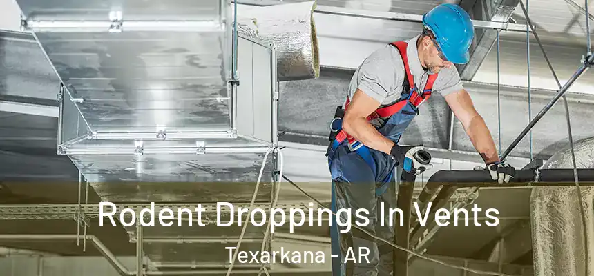 Rodent Droppings In Vents Texarkana - AR