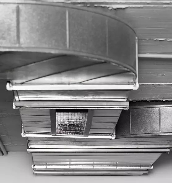 Professional Air Duct Pest Removal in Texarkana, AR